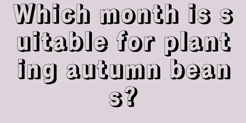 Which month is suitable for planting autumn beans?