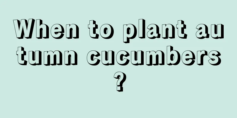 When to plant autumn cucumbers?