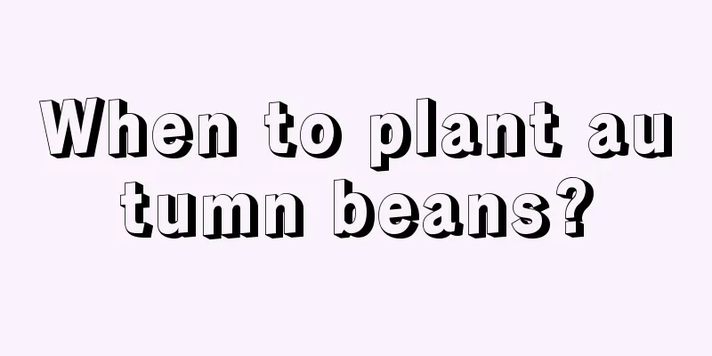 When to plant autumn beans?