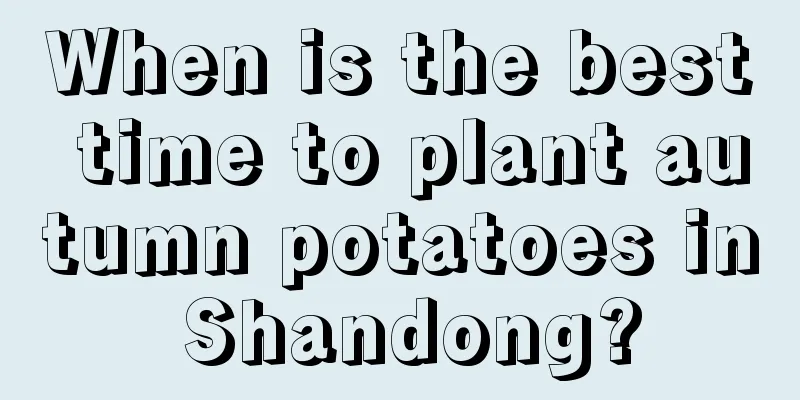 When is the best time to plant autumn potatoes in Shandong?