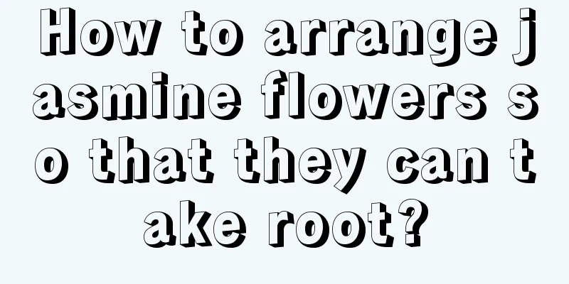 How to arrange jasmine flowers so that they can take root?