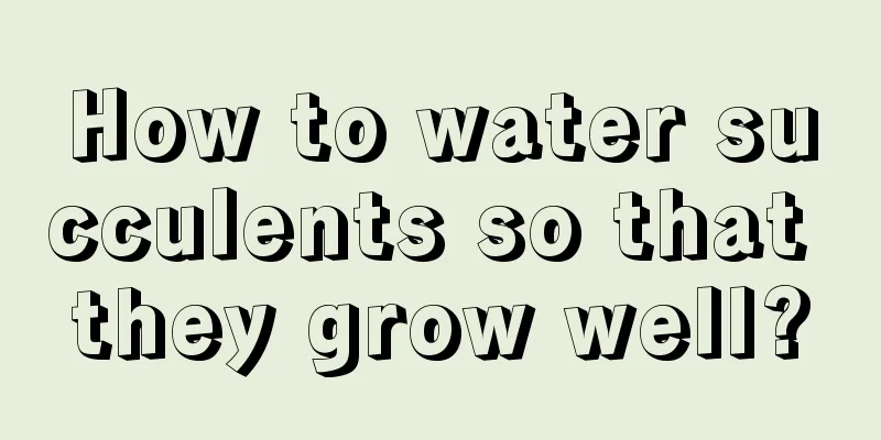 How to water succulents so that they grow well?