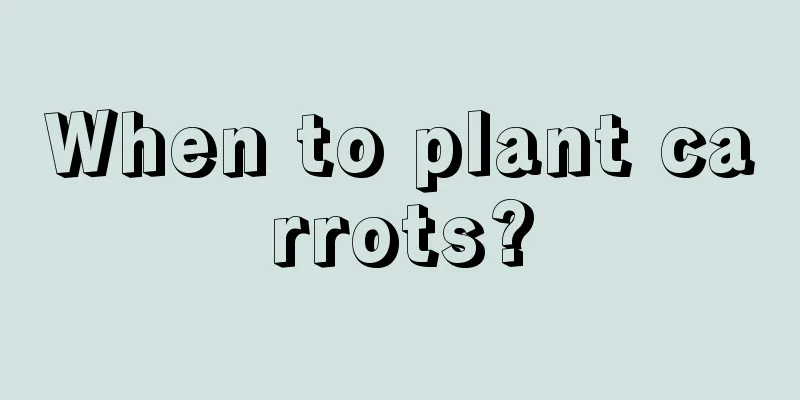 When to plant carrots?