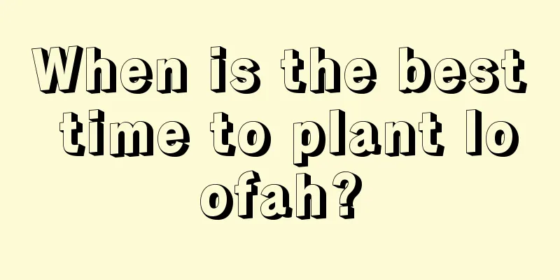 When is the best time to plant loofah?