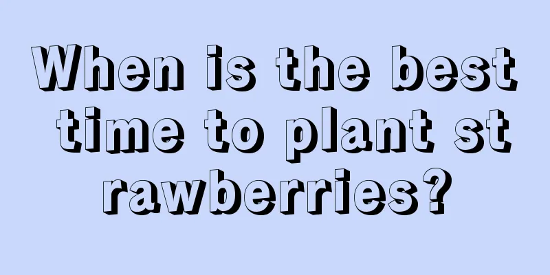 When is the best time to plant strawberries?