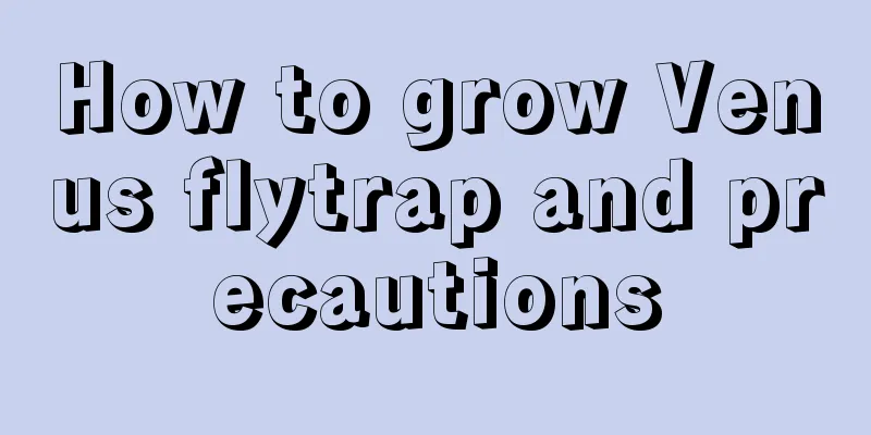 How to grow Venus flytrap and precautions