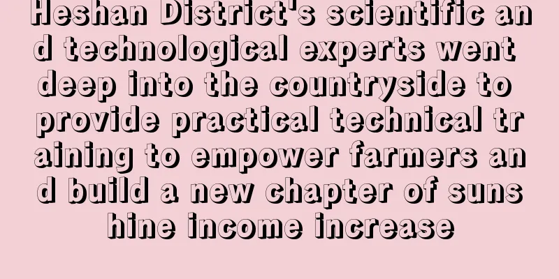 Heshan District's scientific and technological experts went deep into the countryside to provide practical technical training to empower farmers and build a new chapter of sunshine income increase