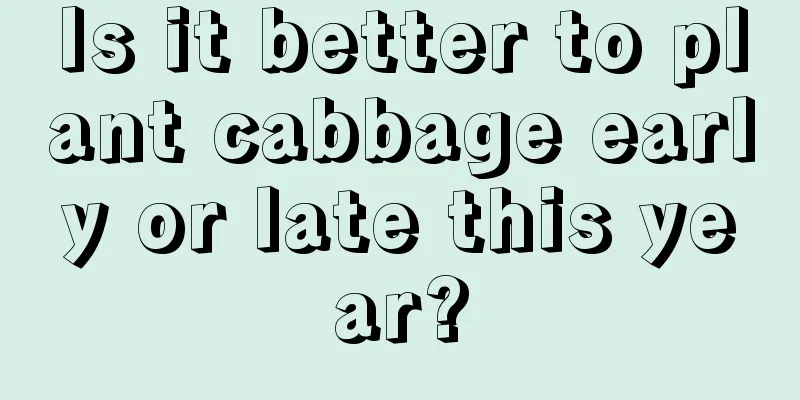 Is it better to plant cabbage early or late this year?