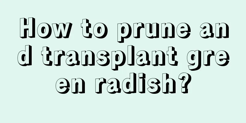 How to prune and transplant green radish?