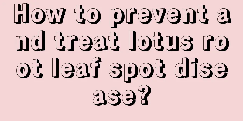 How to prevent and treat lotus root leaf spot disease?