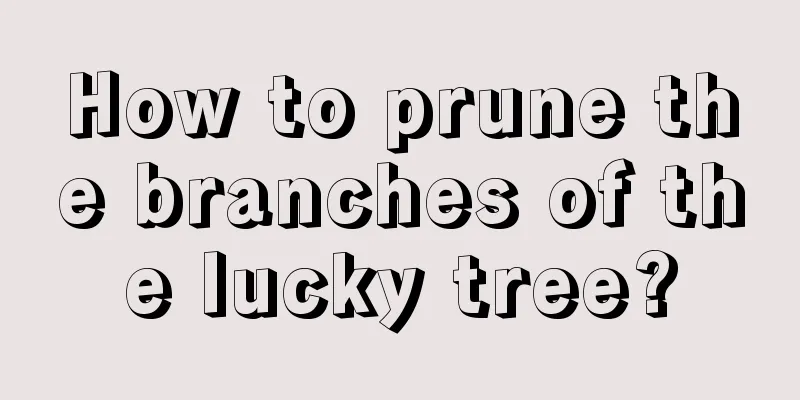 How to prune the branches of the lucky tree?