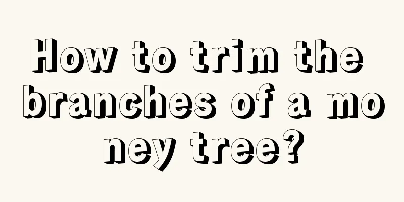 How to trim the branches of a money tree?