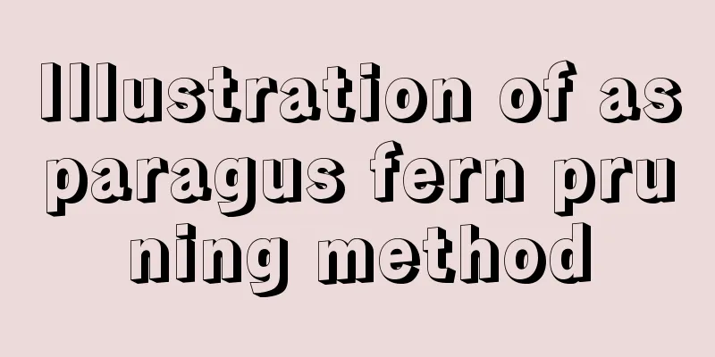 Illustration of asparagus fern pruning method