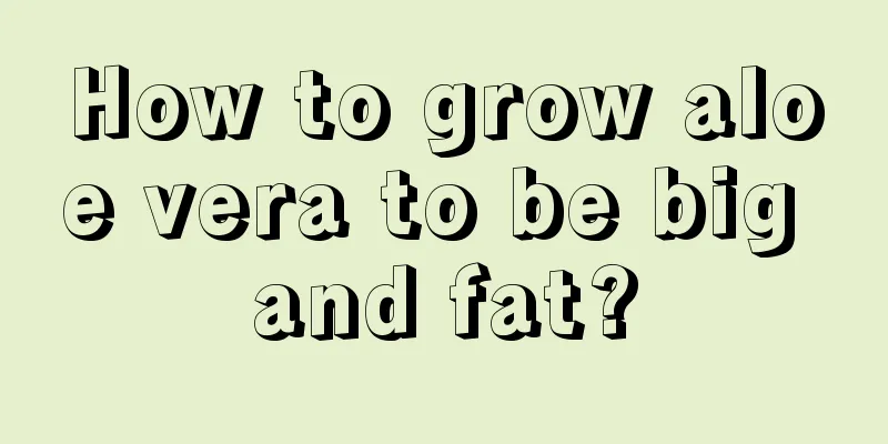 How to grow aloe vera to be big and fat?