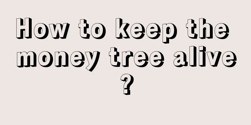 How to keep the money tree alive?