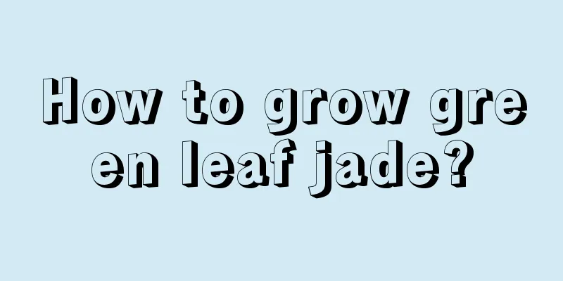 How to grow green leaf jade?