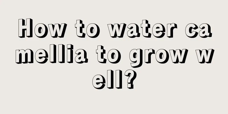 How to water camellia to grow well?