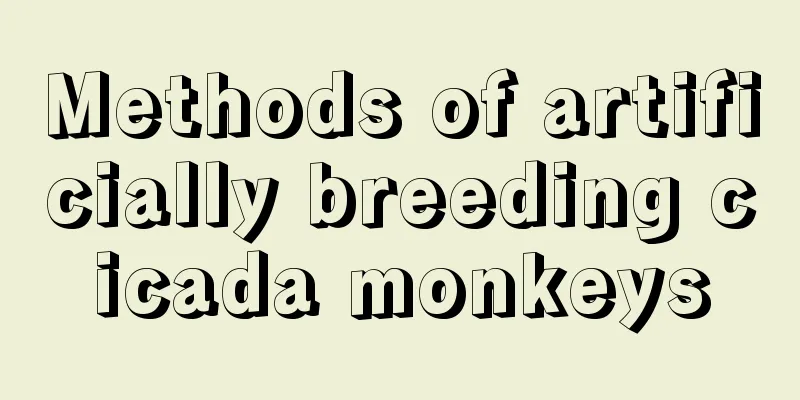 Methods of artificially breeding cicada monkeys