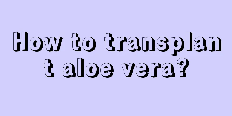 How to transplant aloe vera?