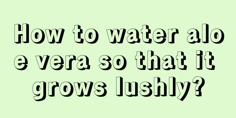 How to water aloe vera so that it grows lushly?