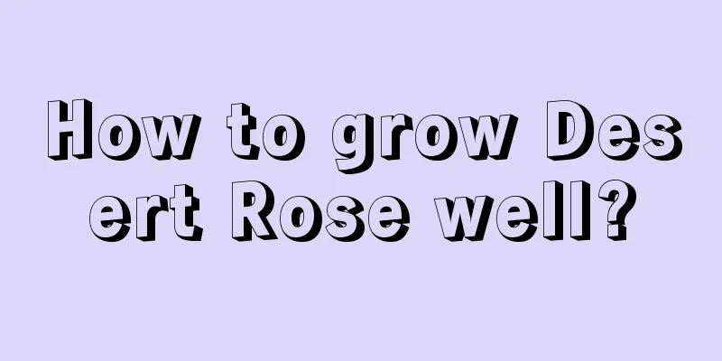 How to grow Desert Rose well?