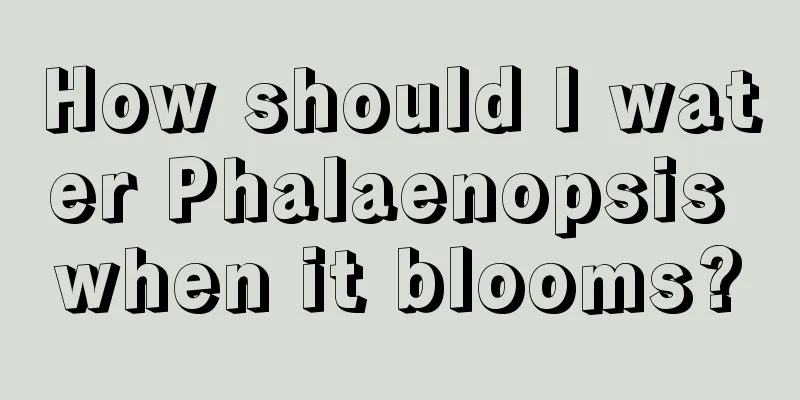 How should I water Phalaenopsis when it blooms?