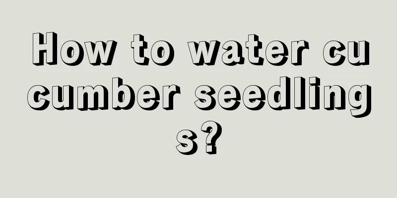 How to water cucumber seedlings?