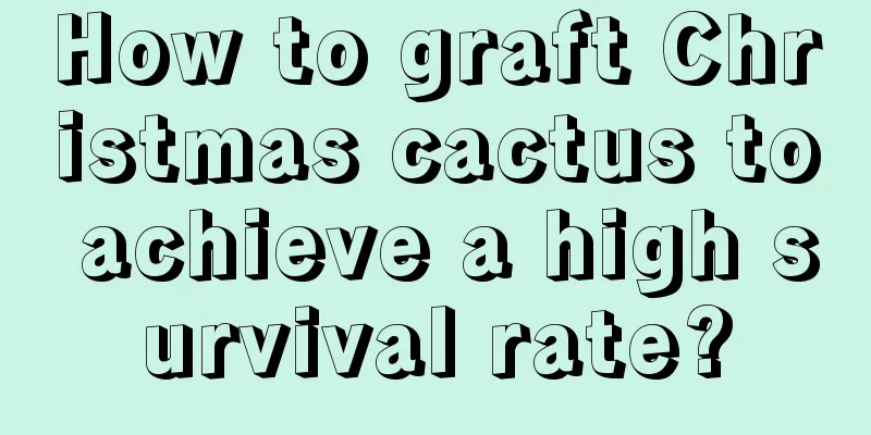 How to graft Christmas cactus to achieve a high survival rate?