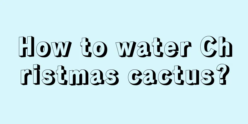 How to water Christmas cactus?