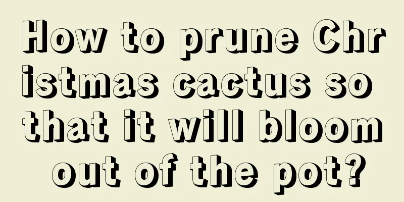 How to prune Christmas cactus so that it will bloom out of the pot?