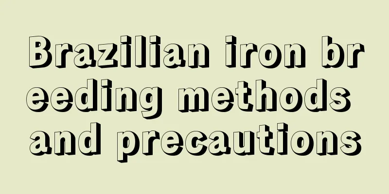 Brazilian iron breeding methods and precautions