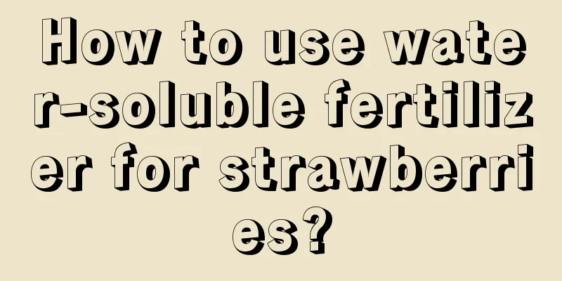 How to use water-soluble fertilizer for strawberries?