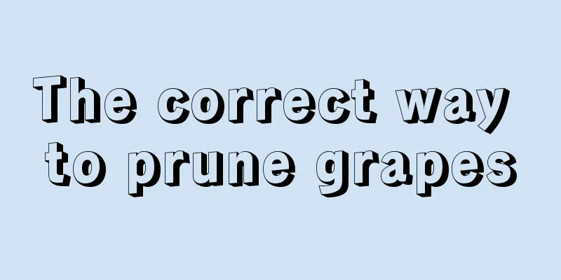 The correct way to prune grapes