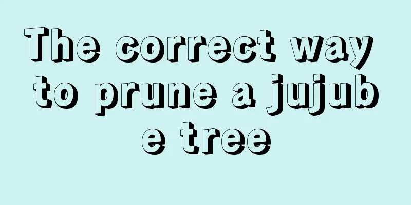 The correct way to prune a jujube tree