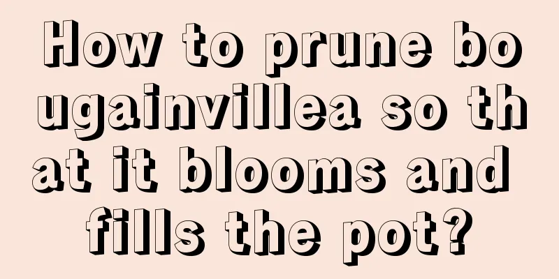 How to prune bougainvillea so that it blooms and fills the pot?