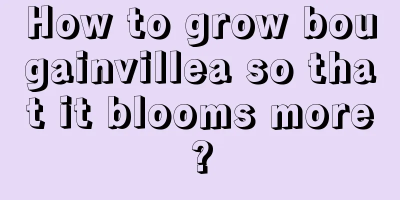 How to grow bougainvillea so that it blooms more?