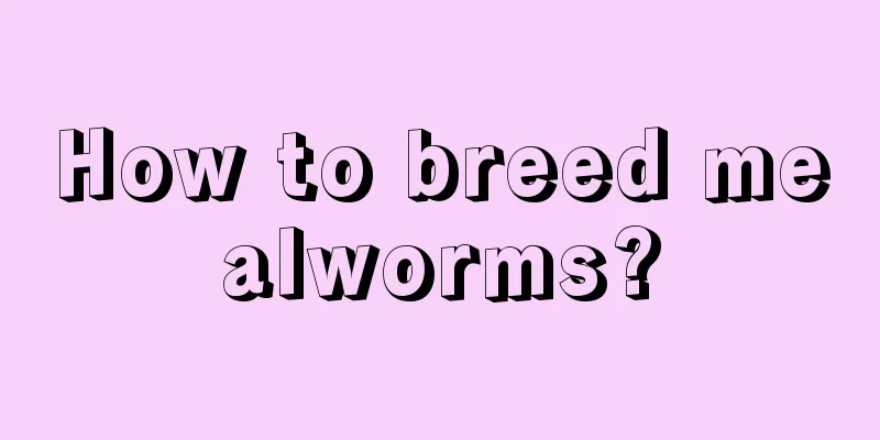 How to breed mealworms?