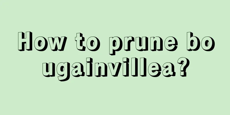 How to prune bougainvillea?