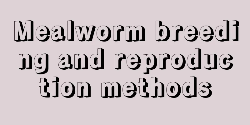 Mealworm breeding and reproduction methods