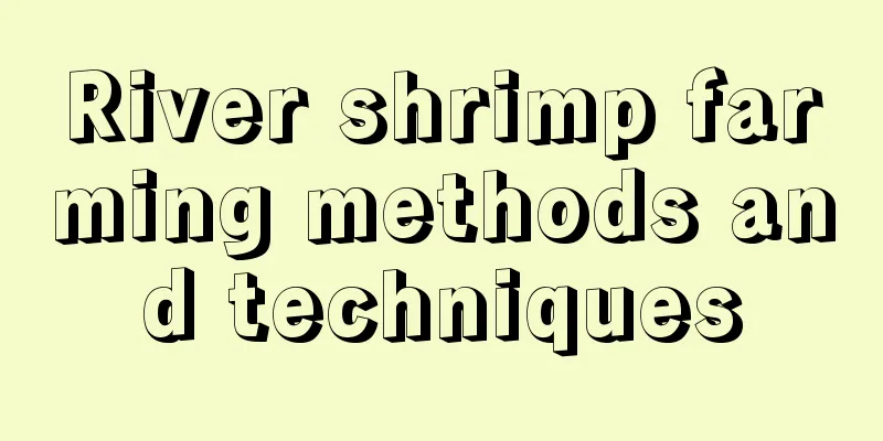 River shrimp farming methods and techniques