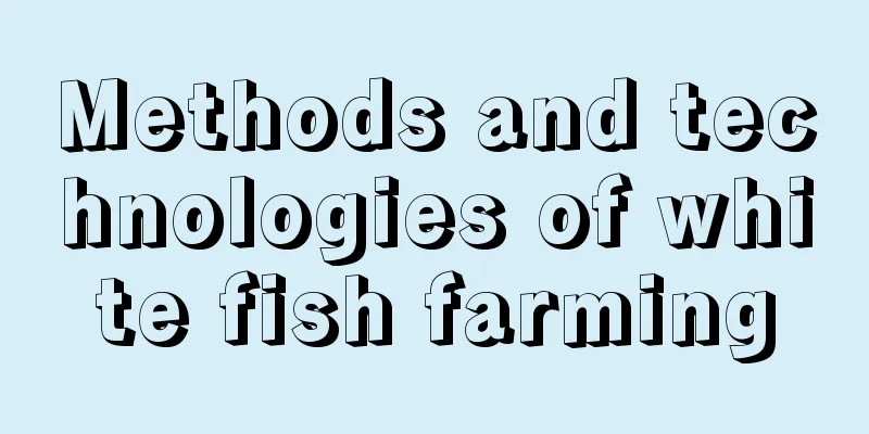 Methods and technologies of white fish farming