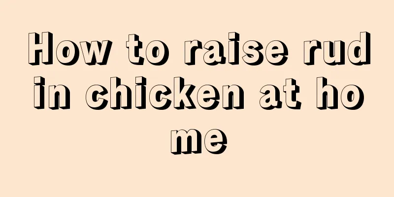 How to raise rudin chicken at home