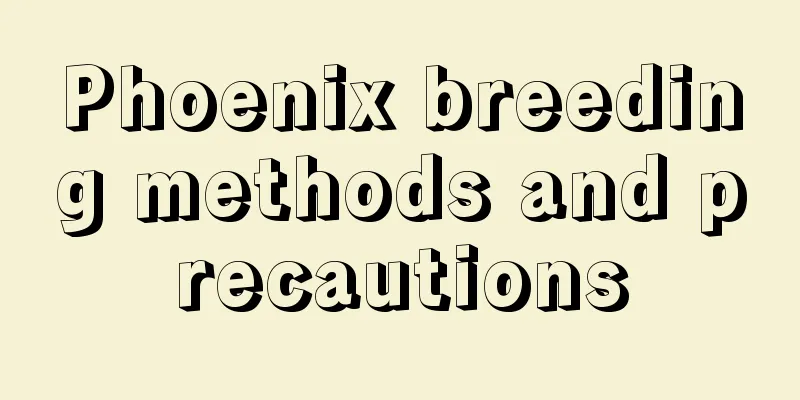 Phoenix breeding methods and precautions