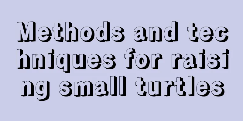 Methods and techniques for raising small turtles