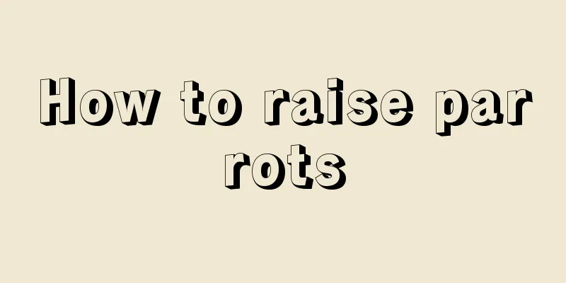 How to raise parrots