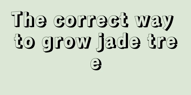 The correct way to grow jade tree