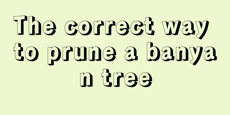 The correct way to prune a banyan tree