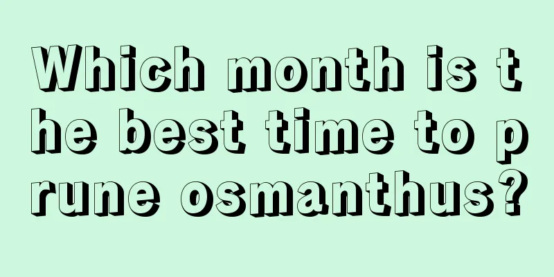 Which month is the best time to prune osmanthus?