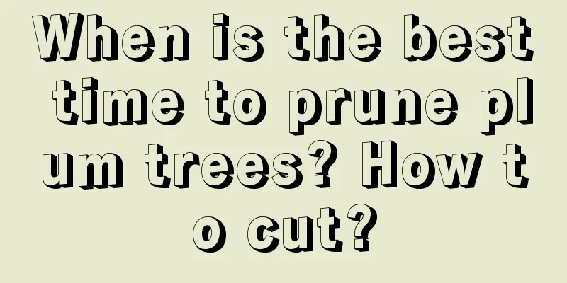 When is the best time to prune plum trees? How to cut?