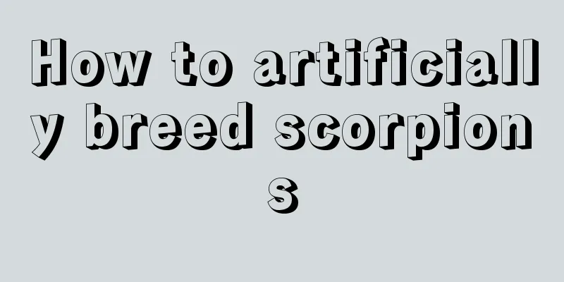 How to artificially breed scorpions